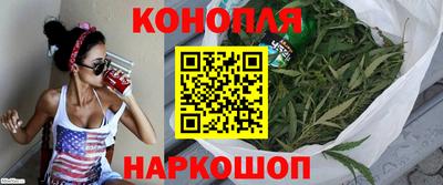 крисы Краснодар