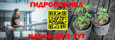 крисы Краснодар